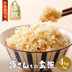ふるさと納税 玖珠町 令和7年産 原さんちの玄米4kg にこまる