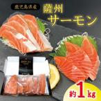 ふるさと納税 薩摩川内市 薩州サーモン 1kg 鹿児島 国産 養殖 サーモン  BS-247