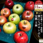 りんご 葉とらずサンふじ 完熟 王林 11個