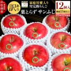 ふるさと納税 弘前市 訳あり 雪完熟 家庭用蜜入 糖度13度以上 葉取らず サンふじ12個|24_yuk-231201a
