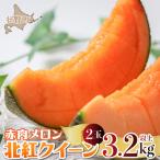 赤肉メロン 北紅クイーン 2玉入り約3.2kg以上SBTP004