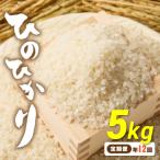 令和7年産 元気つくし5kg _HB0205