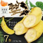 侍バナナ 無農薬 農家直送 手のひらサイズ 7本
