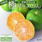 温州みかん 訳あり 果物 ミカン 柑橘 フルーツ