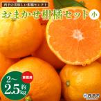 <西予の美味しい柑橘セレクト ご