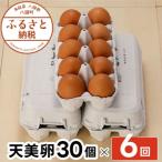 Y989 平飼い天美卵30個〈大江ノ郷自然牧場より直送〉