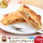 ◆第24回全国菓子博技術優秀賞受賞◆上山アップルパイ