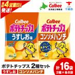 カルビーポテトチップス 2種セット うすしお