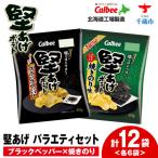 カルビー 堅あげポテト 2種セットA 各6袋