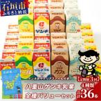 八重山ゲンキ乳業 全種バリューセット GN-4_3t