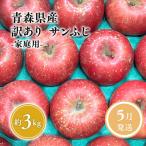 サンふじ約3kg りんご 林檎 リンゴ 果物