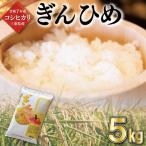 米 コシヒカリ ぎんひめ 5kg×1袋