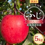 訳アリ りんご ふじ 5kg_Y103-0072