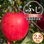 りんご ふじ 2.8kg_Y103-0076