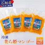 fu.... налог камень . город рефрижератор прекрасный .. манго 2kg(500g×4 пакет )