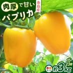 糸島産 肉厚 パプリカ 約3kg