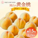 桃 2027年 黄金桃 約1.5kg