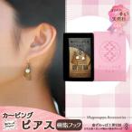 カービングタイプ ピアス樹脂フックタイプ