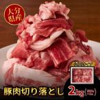 ふるさと納税 豊後高田市 豚肉切り落とし 計2kg (500×10袋) 小分け 便利 使いやすい 大容量 豚 切落し 肉