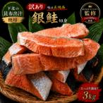 訳アリ銀鮭切身 3kg