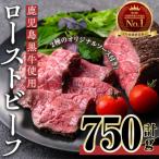 ふるさと納税 曽於市 鹿児島黒牛ローストビーフ(計750g・オリジナルソース付き)