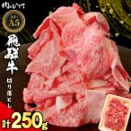 東 飛騨牛 切り落とし 250g