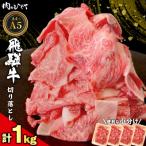 東 飛騨牛 切り落とし 1kg