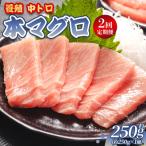 中トロ 定期便 2回 約250g