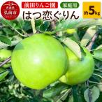 りんご はつ恋ぐりん 約 5kg