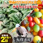 <12月 >寒締めちぢみほうれん草