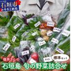 嶺井さんの石垣島旬の野菜詰合せ 標準セット