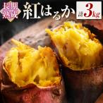 一撃蜜封こつぶ ひと口焼き芋3kg 都城産