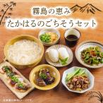 霧島の恵み ごちそううどんセットTF858