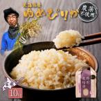 特別栽培米 ゆめぴりか 玄米 10kg