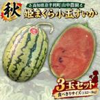 山中農園 小玉スイカ3玉 103005