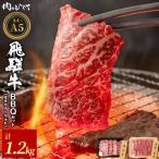 東 飛騨牛 BBQセットカルビ&amp;モモカタ 1.2kg