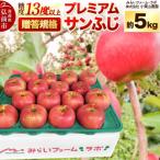 りんご 早生ふじ 約5kg