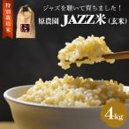 令和7年産 玖珠米 4kg
