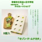 セゾン ド MUNAKATA ~宗像の四季だより~ 8枚入り