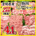 2週間発送 産豚肉 6種バラエティ4.1kgセット小分け
