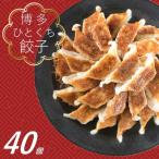 ふるさと納税 新宮町 福岡・博多の味『博多一口餃子』40個入(40個入×1P)ZF146