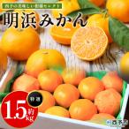 果物 くだものフルーツ 蜜柑 みかん ミカン