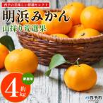 果物 くだものフルーツ 蜜柑 みかん ミカン