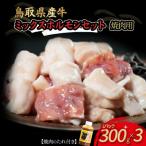 ふるさと納税 倉吉市 鳥取県産牛　焼肉用ミックスホルモンセット 国産 ホルモン 焼肉 小分け