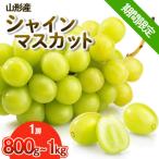 山形産 シャインマスカット 約800g