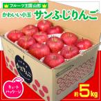 ☆フルーツ王国山形☆ りんご シナノゴールド