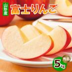 富士りんご 無袋 秀5kg FZ18-135