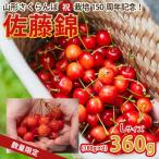 fu.... налог Yamagata город культивирование 150 годовщина! Sato .360g L шар ограниченное количество![. мир 8 год производство предшествующий предварительный заказ ]FS25-061