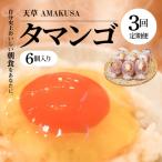 S038-T03_ 天草 タマンゴ 6個