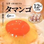 S038-T12_ 天草 タマンゴ 6個